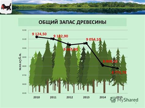 Проблемы и перспективы развития лесного комплекса на современном этапе