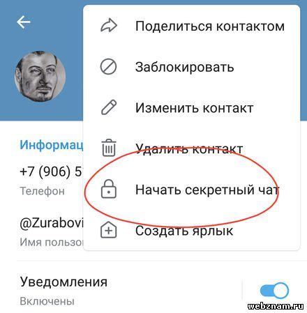 Проблемы при осуществлении звонков в приложении Telegram: что может стать причиной?