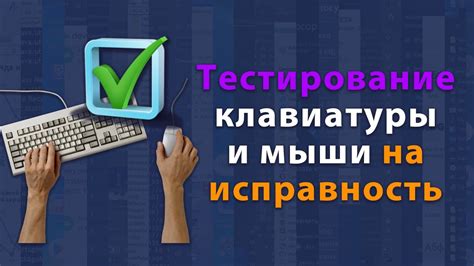 Проверка работоспособности клавиатуры и мыши