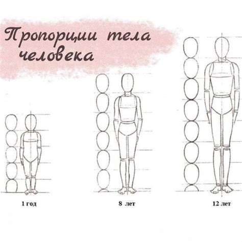 Проверка структуры тела и пропорций