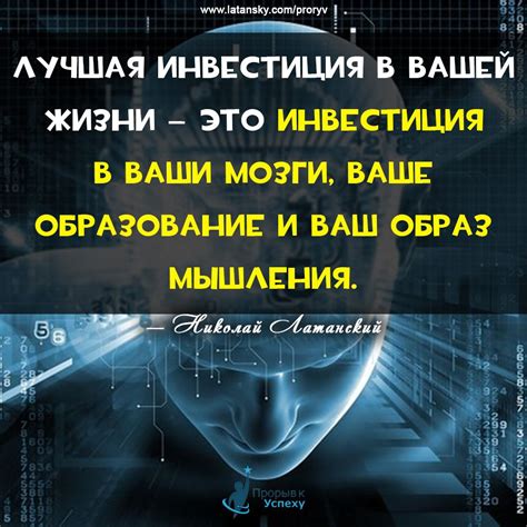 Прогрессивные программы обучения и развития: инвестиция в развитие вашей команды