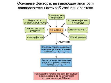 Происхождение и основные вызывающие факторы