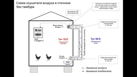 Простой и доступный способ борьбы с лишней влажностью: хлопковые носки