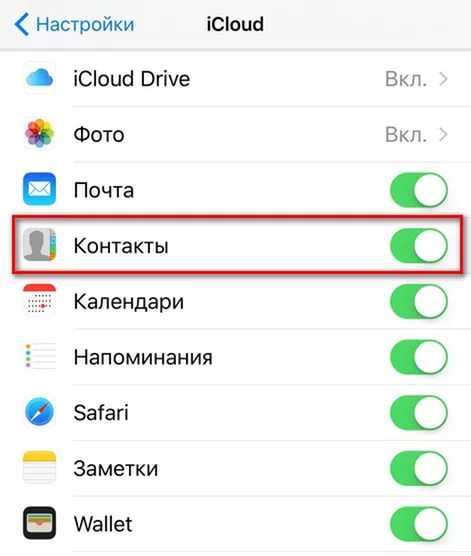 Простые шаги по сохранению контактов через iCloud