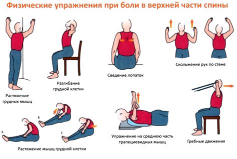 Профилактика деградации мышц при отсутствии тренировок