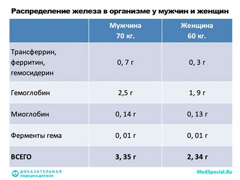 Профилактика повышенного уровня железа в крови у представительниц женского пола