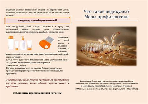 Профилактика появления гнид: простые и эффективные методы для вас и вашего окружения