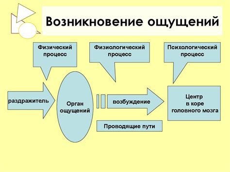 Процесс возникновения неприятных ощущений при ожоге