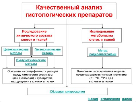 Процесс гистологического анализа образцов