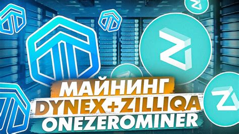 Процесс установки и оптимальная настройка майнеров в системе RaveOS