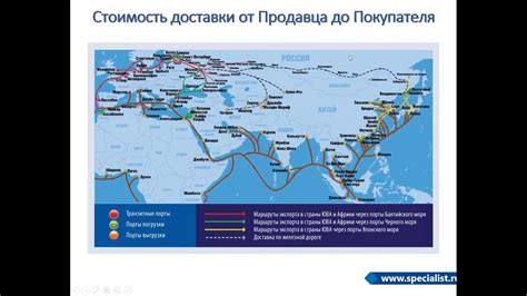 Процесс формирования драгоценного продукта из морского сокровища