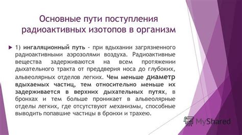 Путь воздуха: от поступления до распределения