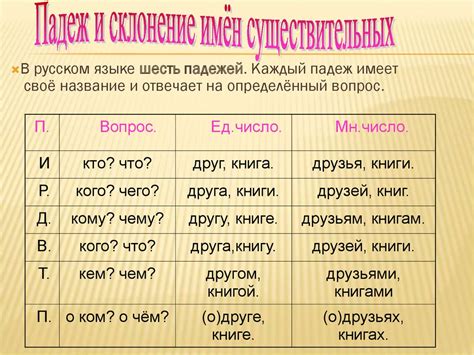 Пятое число: значение и особенности в родном языке