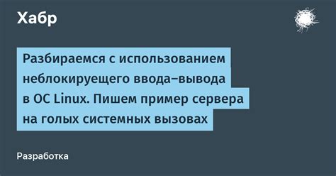 Разбираемся с оформлением и использованием