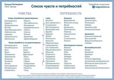 Разгадка тайного языка эмоций: наглядное руководство для новичков