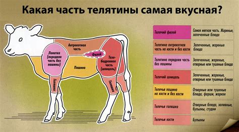 Различия в мясе: использование говядины или курицы