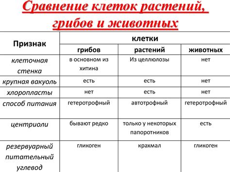 Различия и сходства