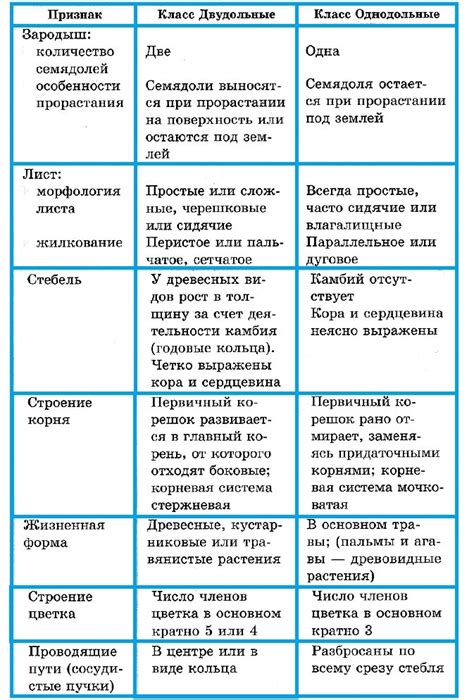 Различия между папкой и гербарием в ботанике