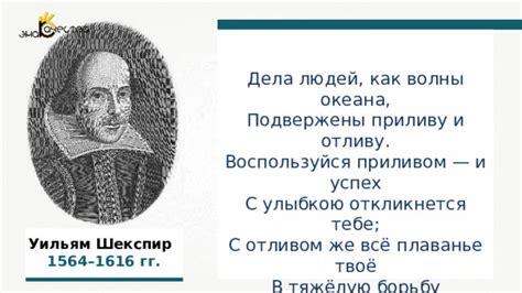 Различия между приливом и отливом: причины и результаты