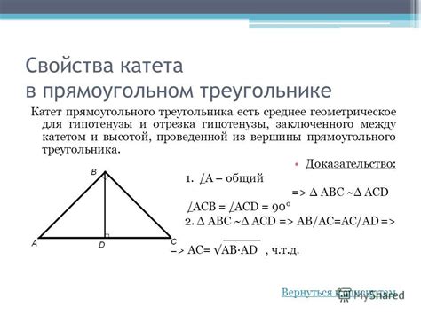 Различные методы расчета противоположного катета в треугольнике, исходя из известного угла
