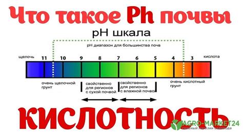 Различные пути изучения присутствия солей и кислотности в почве