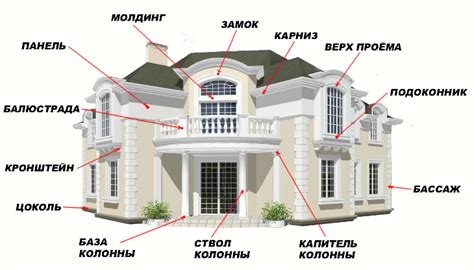 Размер и внешний облик