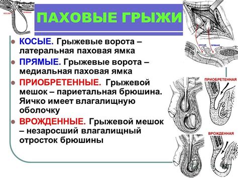 Ранняя стадия восстановления соединительной ткани в паховой области