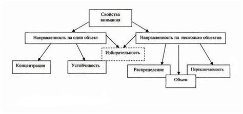 Распределение внимания и отвлекающий контент