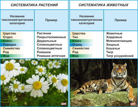 Распространенные виды головни среди животных и растений