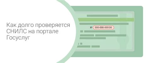 Распространенные трудности и дефекты в процессе проверки СНИЛС на государственном портале