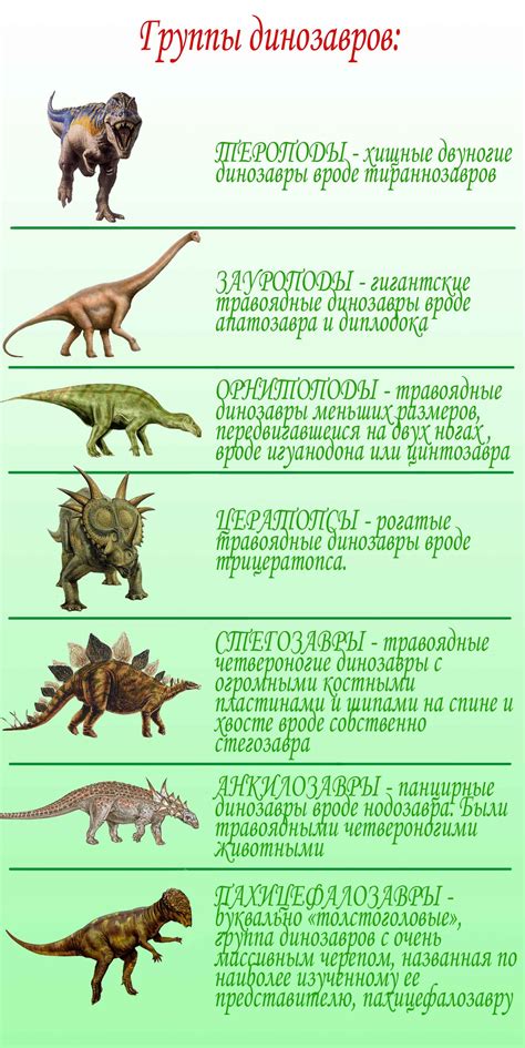 Рассмотрение специфики каждого типа динозавров перед их размещением