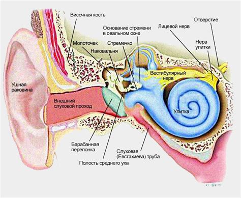 Расстройство равновесия внутри уха