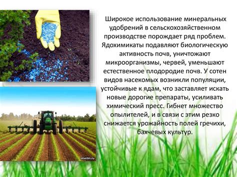 Рациональное использование почвенных ресурсов и повышение урожайности
