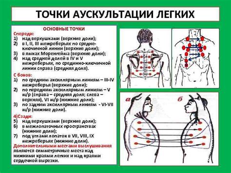 Рациональные подходы к устранению проблем с сохранением крови в легких