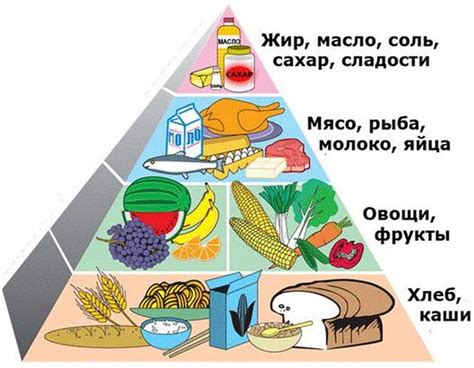 Рацион бройлеров: важность продуктов растительного происхождения