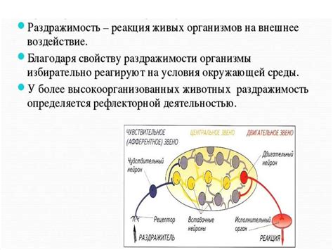 Реакция на внешние раздражители – подтверждение живописности зверей