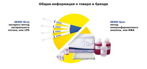 Реакция на пищевые аллергены: методы идентификации сыпи