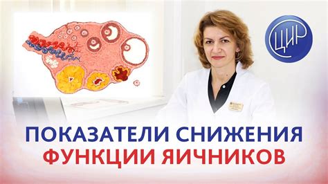 Регулярные физические упражнения для улучшения функции яичников