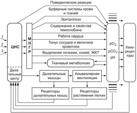 Регуляция накопления и механизмы контроля запасов питательных элементов