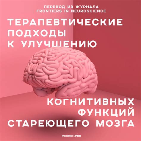 Регуляция рабочей активности мозга: облепиха и польза для когнитивных функций