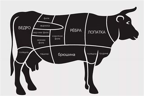 Рекомендации для достоверного выбора говядины высшей категории