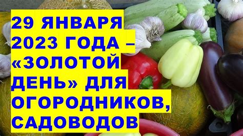 Рекомендации для садоводов и огородников в день полнолуния