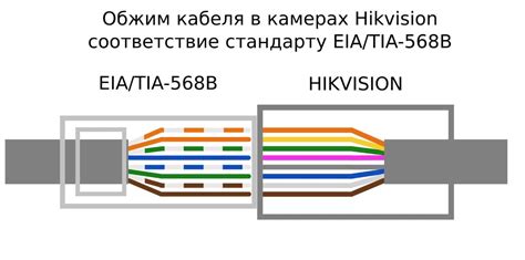 Рекомендации по выбору и подключению: основные аспекты для новичков