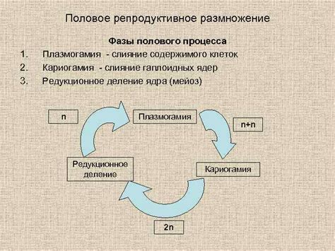 Репродуктивное размножение: новые возможности роста