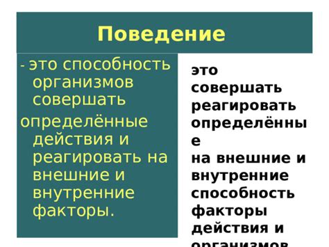 Рефлексы и раздражимость: что их отличает?