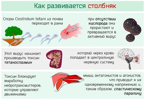 Риск заражения и неблагоприятные последствия столбняка