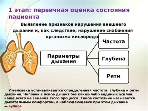 Ритм дыхания как показатель активности организма