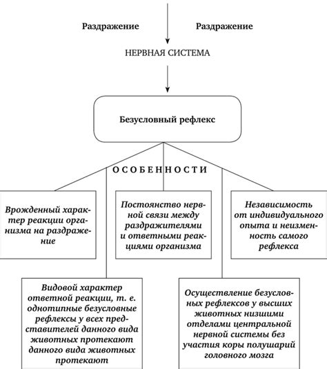 Роль безусловных рефлексов в формировании поведения человека