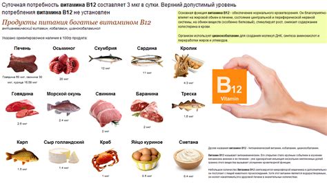 Роль витамина B12 в поддержании нормального уровня энергии