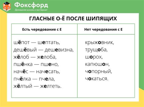 Роль гласных в словоформах глаголов и существительных